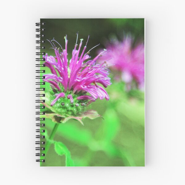 Item preview, Bee Balm designed and sold by MissMimi63.