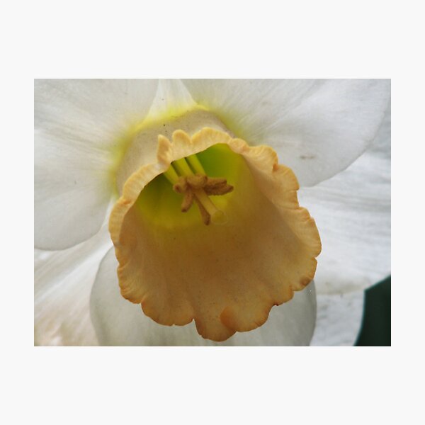Item preview, Looking inside designed and sold by Kathy Yates.