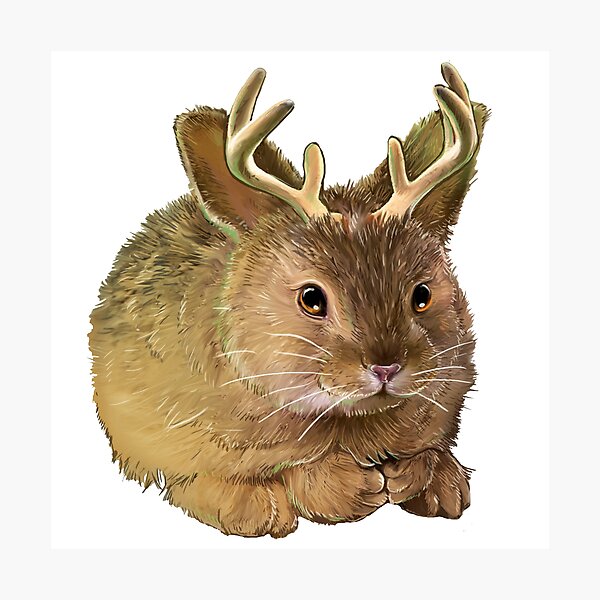 Artikelvorschau, Jackalope entworfen und verkauft von allenwu.