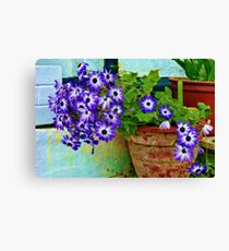 Senetti Leinwanddruck