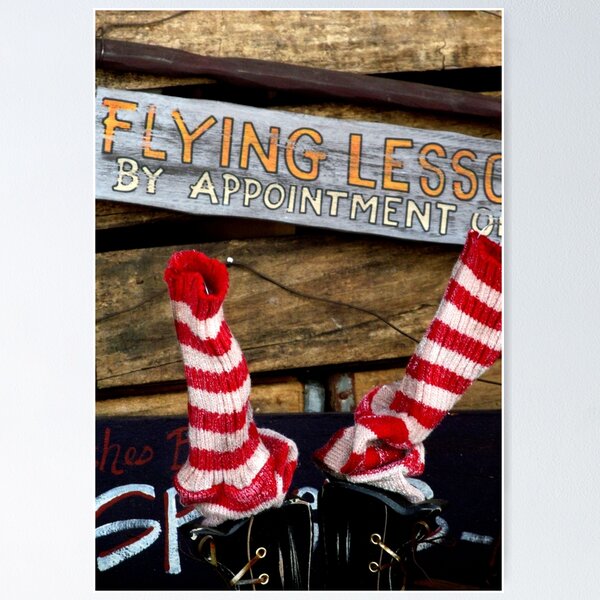 Item preview, Eaton, OH: Flying Lessons designed and sold by ACImaging.