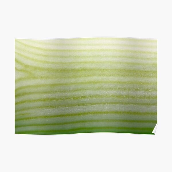 Green lines Poster