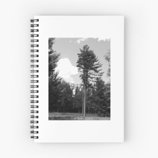 Item preview, Farmington, PA: One's Left Standing designed and sold by ACImaging.