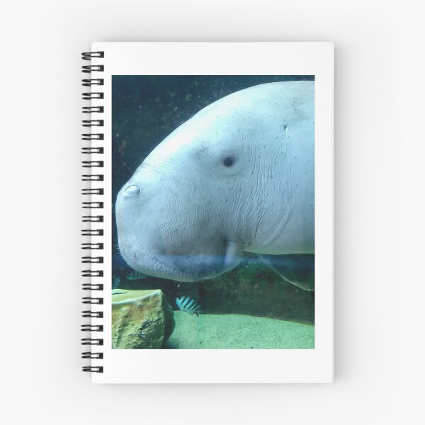 Item preview, DUGONG designed and sold by trevorp.