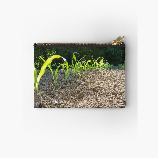 Item preview, new corn designed and sold by feiermar.