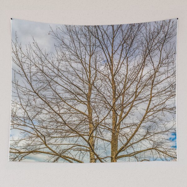 Item preview, Tree with clouds designed and sold by Lefteris Betsis.