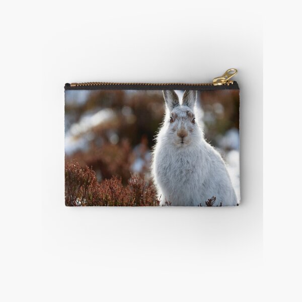 Item preview, Copy of white wild mountain hare designed and sold by chanonry.