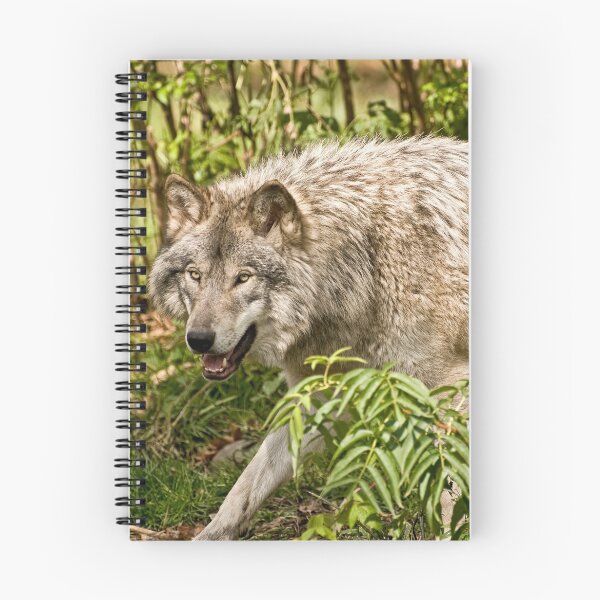 Item preview, Lurking! designed and sold by Tracey  Dryka.