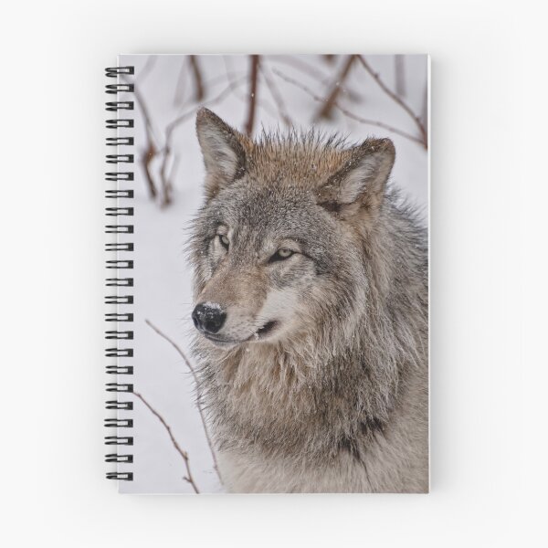 Artikelvorschau, Timber Wolf entworfen und verkauft von Tracey  Dryka.
