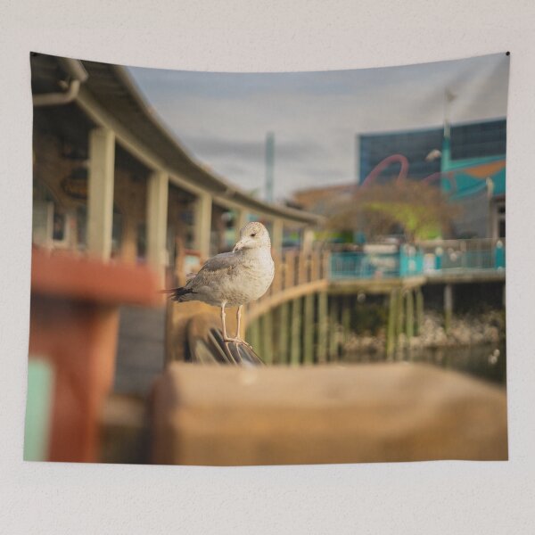 Item preview, Seagull in South Carolina designed and sold by KensLensDesigns.