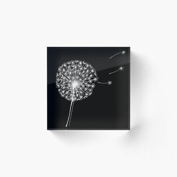 Dandelion clock on black Acrylic Block
