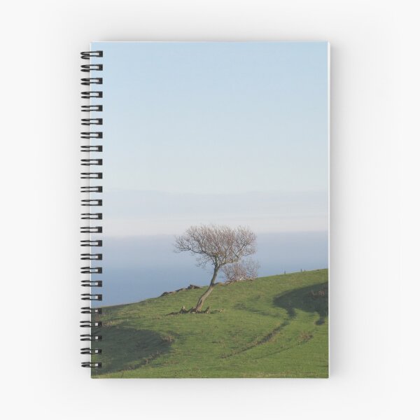 Artikelvorschau, Einsamer windgepeitschter Baum - Yorkshire Coastline entworfen und verkauft von Victoria Charvill.