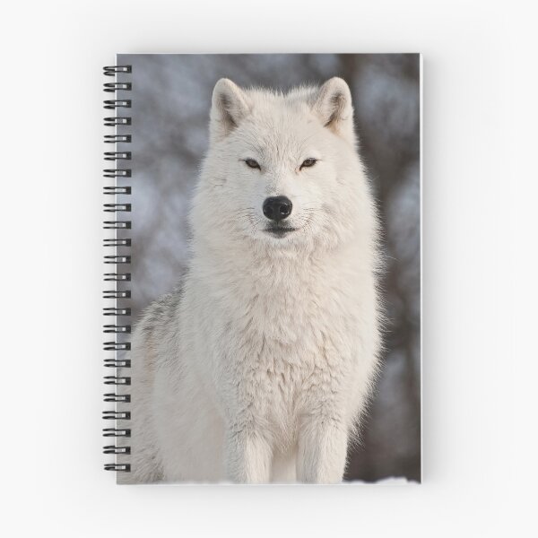 Item preview, Inquisitive designed and sold by Tracey  Dryka.