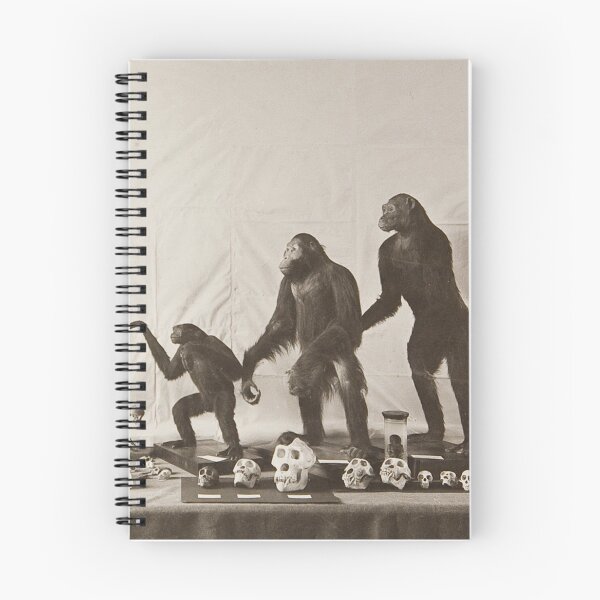 Item preview, Darwinism designed and sold by Vintage Designs +.