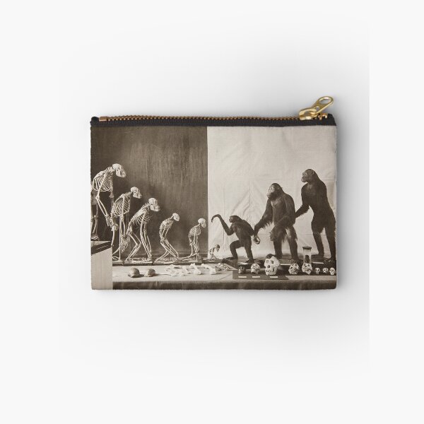 Item preview, Darwinism designed and sold by Vintage Designs +.