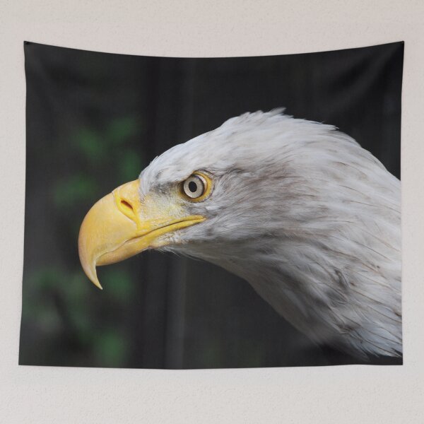 Item preview, Vigilant, too designed and sold by John Schneider.