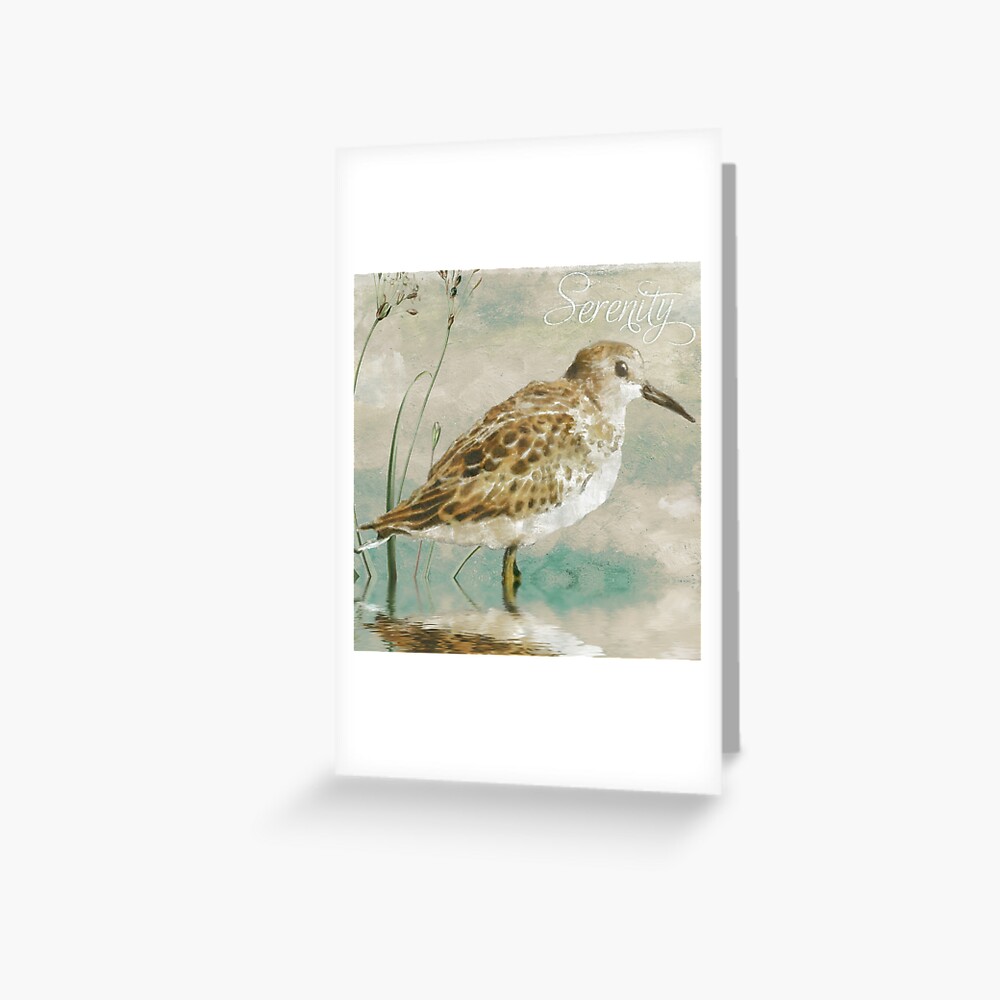 Beach Sandpiper I Greeting Card By Mindydidit Redbubble