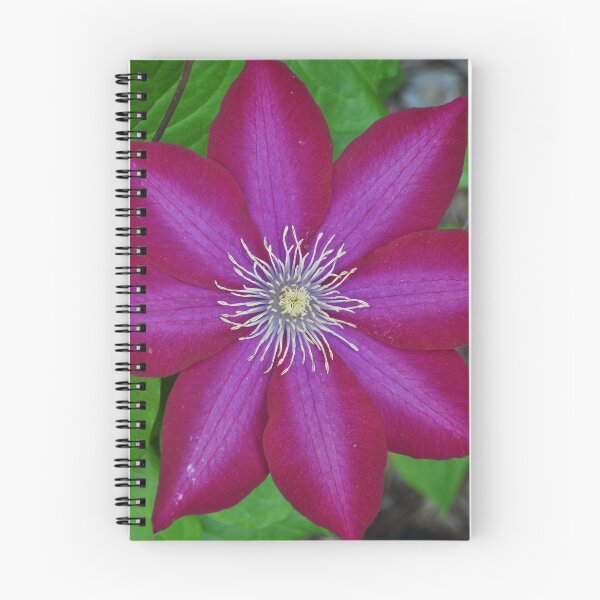 Item preview, Clematis Vibrante designed and sold by Slh69.