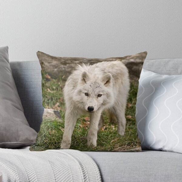 Item preview, What did you bring me! designed and sold by Tracey  Dryka.