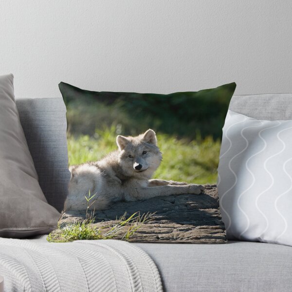 Item preview, Being Lazy!! designed and sold by Tracey  Dryka.
