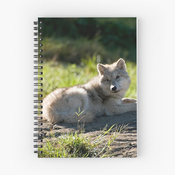 Item preview, Being Lazy!! designed and sold by Tracey  Dryka.