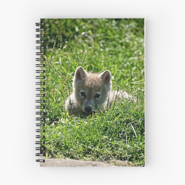 Item preview, Little Irresistable!! designed and sold by Tracey  Dryka.