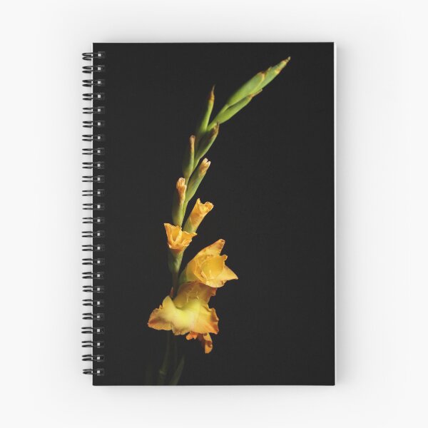 Item preview, Flor designed and sold by Creative Rafa.