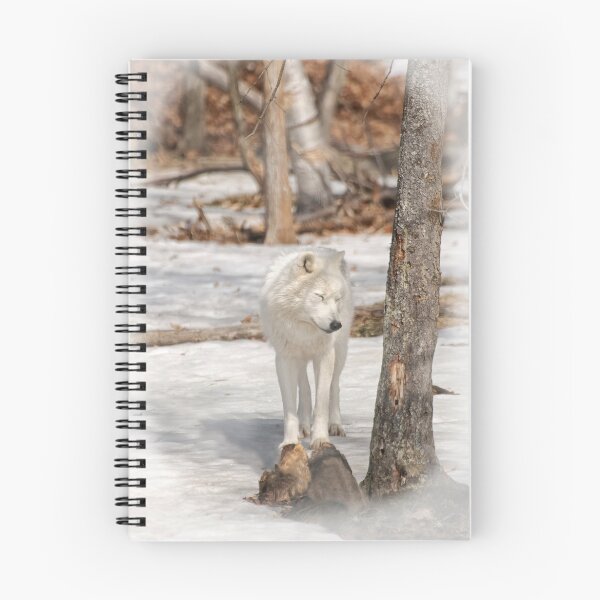 Item preview, Arctic wolf -Parc Omega, Montebello, PQ designed and sold by Tracey  Dryka.