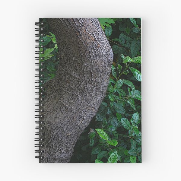 Aperçu de l'œuvre bodice bark créée et vendue par tbshots.