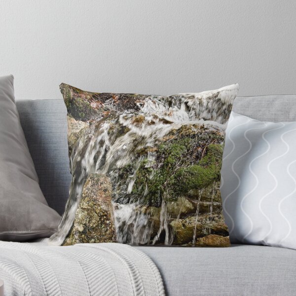 Item preview, Algonquin Park, Ontario designed and sold by Tracey  Dryka.
