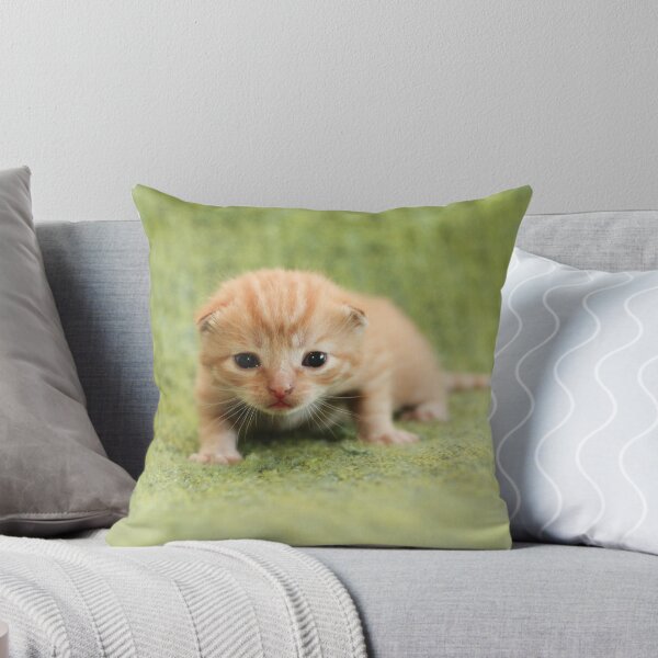 Item preview, Young Kitten designed and sold by BrokenMix.