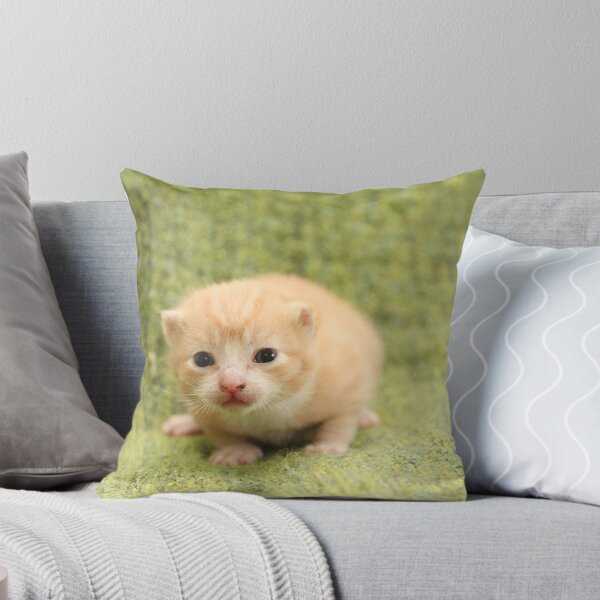 Aperçu de l'œuvre Kitty cute créée et vendue par BrokenMix.