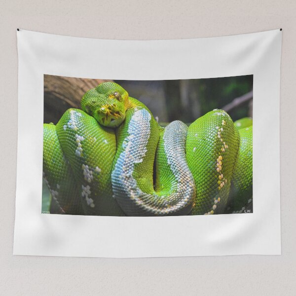 Item preview, Emerald Tree Boa Snake designed and sold by LisaWootenPhoto.