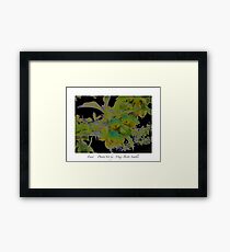 "Fruit" Framed Print