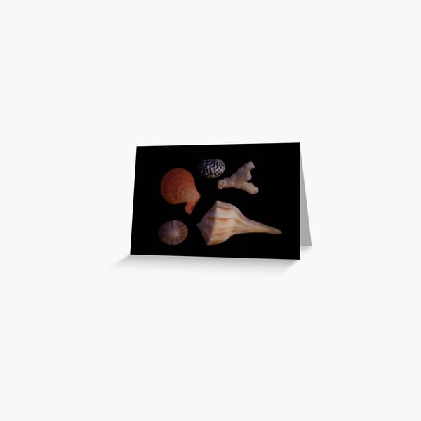 Seashells Greeting Card