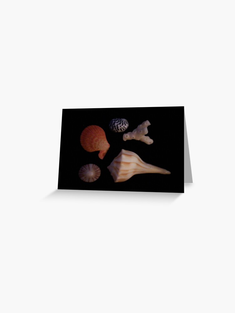 Thumbnail 1 of 2, Greeting Card, Seashells designed and sold by DianaTaylor/ JacksonDunes.