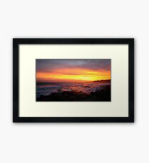 Fury Framed Print