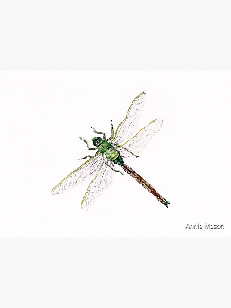 Thumbnail 4 of 4, Metal Print, Dragonfly designed and sold by Annie Mason.