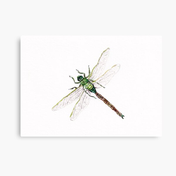 Metal Print