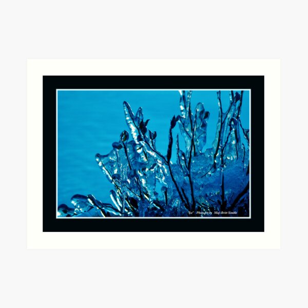 "Frozen Bilberry Sprigs" Art Print
