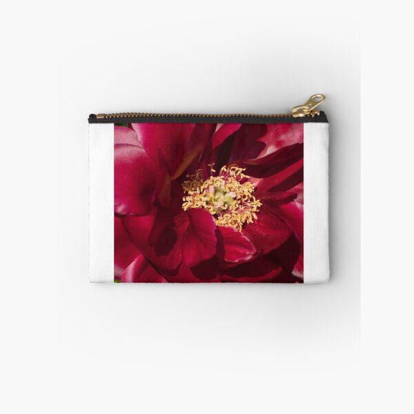 Item preview, Peony - Illini Belle designed and sold by Tracey  Dryka.