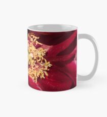 Taza Peony - Illini Belle