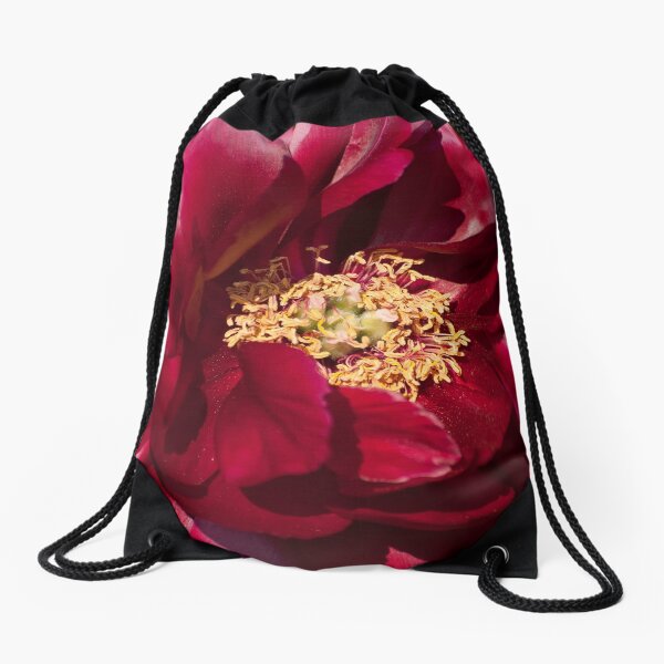 Item preview, Peony - Illini Belle designed and sold by Tracey  Dryka.
