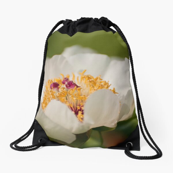 Item preview, Peony - Day Break designed and sold by Tracey  Dryka.