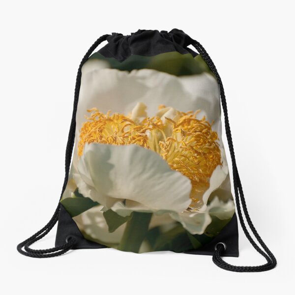 Item preview, Peony - Ottawa, Ontario designed and sold by Tracey  Dryka.