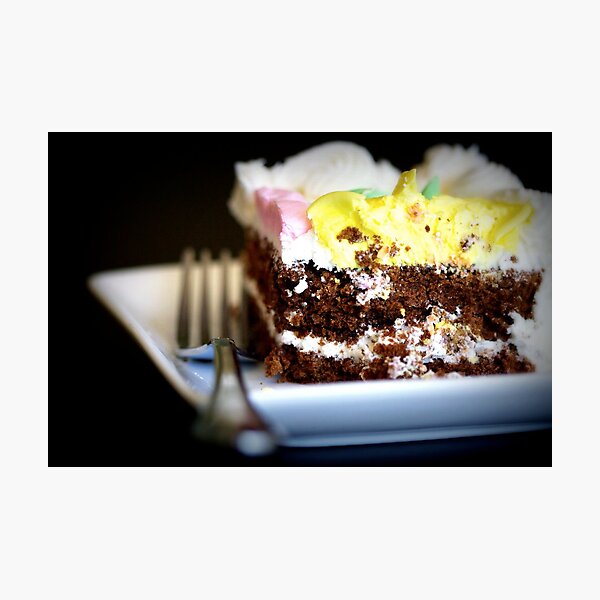 The Last Piece of Cake Photographic Print