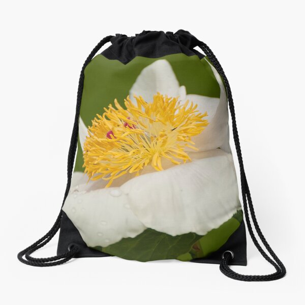 Item preview, Rushlight - Peaonia (Peony) designed and sold by Tracey  Dryka.