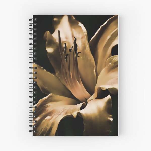 Item preview, Daylily - my garden, Ottawa, Ontario designed and sold by Tracey  Dryka.
