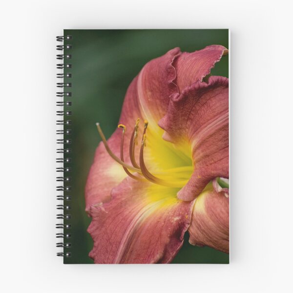 Item preview, Garden Creation 2 -  our garden designed and sold by Tracey  Dryka.
