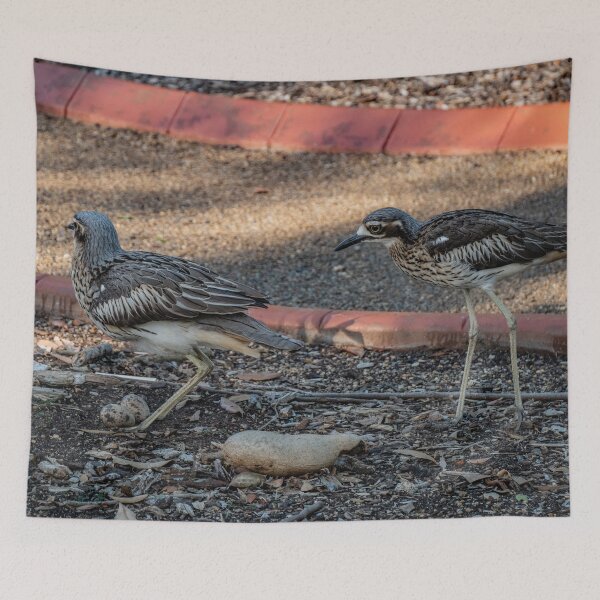 Item preview, Curlew - screaming woman bird 5 designed and sold by DreamGalleon.